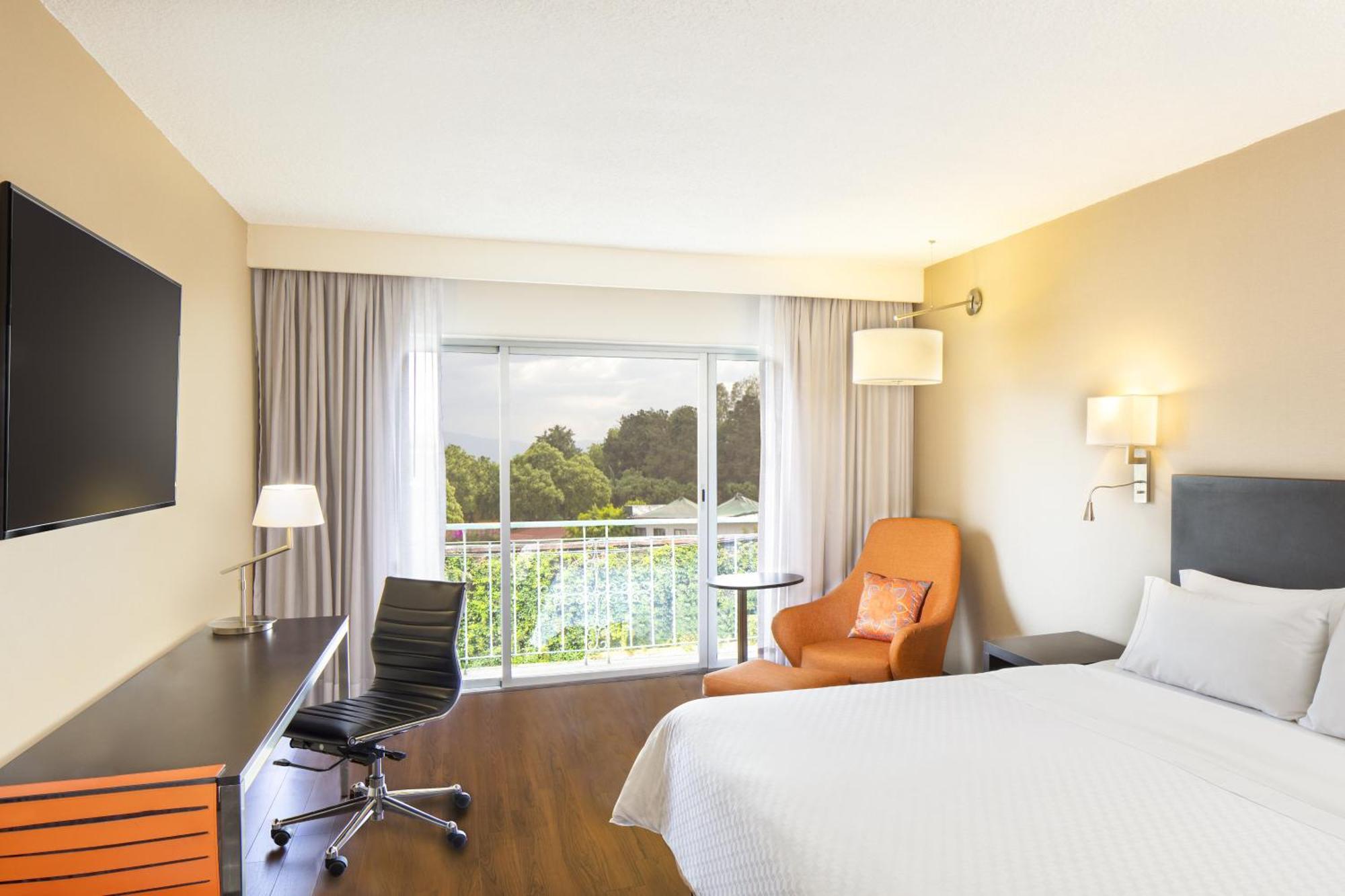 Room a View 1 King,1552531123:JPEG