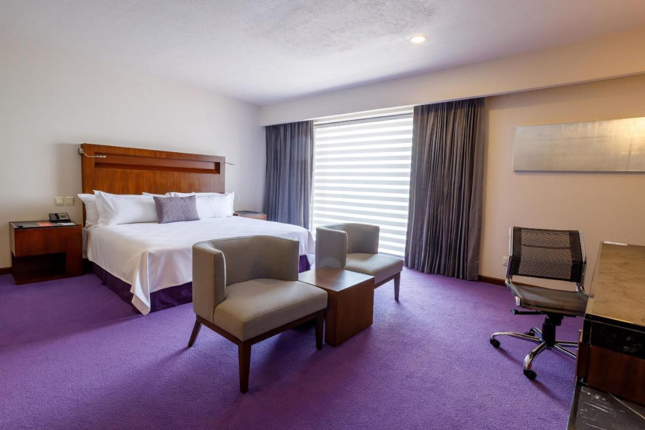 Suite Junior
