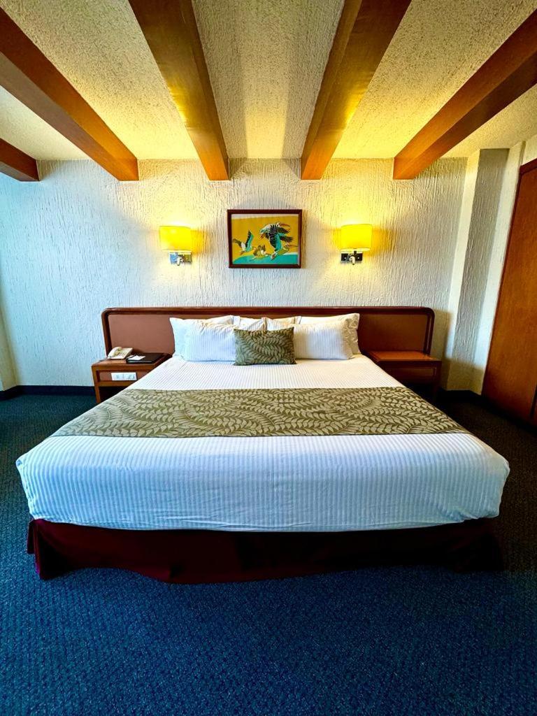 Suite Junior Deluxe