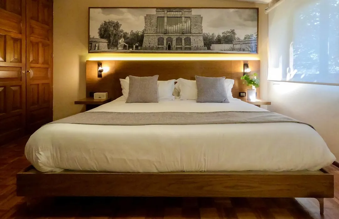Mi Zona Lodging Coyoacan-1