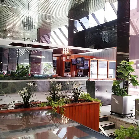 Hotel Plaza Madrid-3