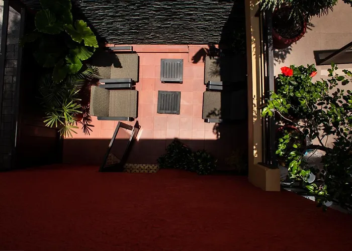 Red Tree House
