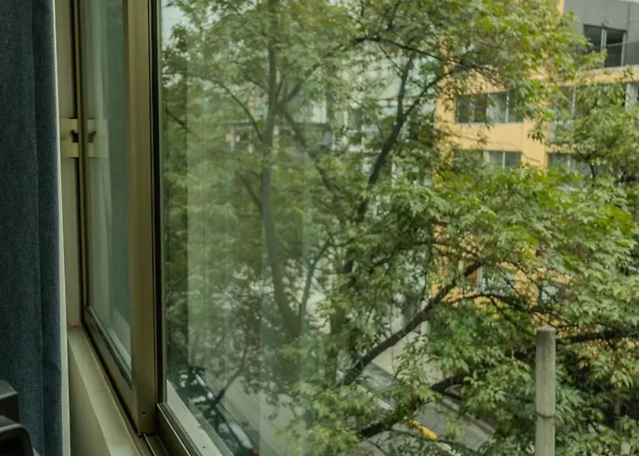 Casa Romita Apartment Mexico City