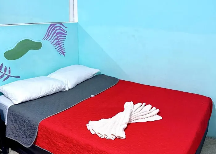 Casita Del Arbol Apartment Mexico City