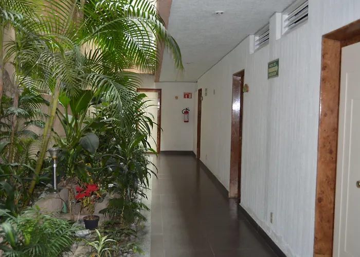 Hotel Mina México DF, México DF