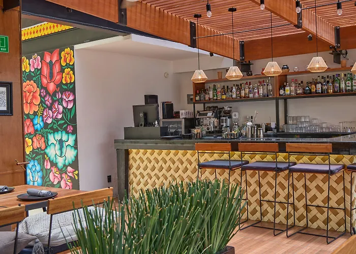 Casa De La Luz Hotel Boutique Mexico City