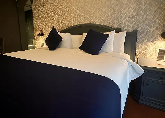 Hive Napoles By G Hotels Mexico City